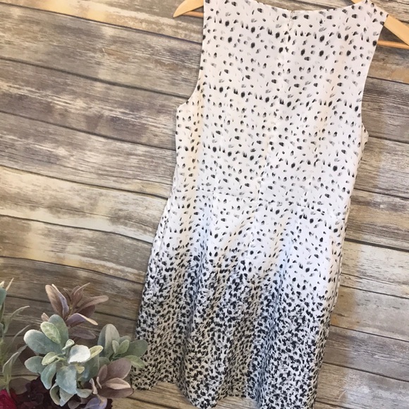 LOFT Spring Dress - Picture 2 of 3